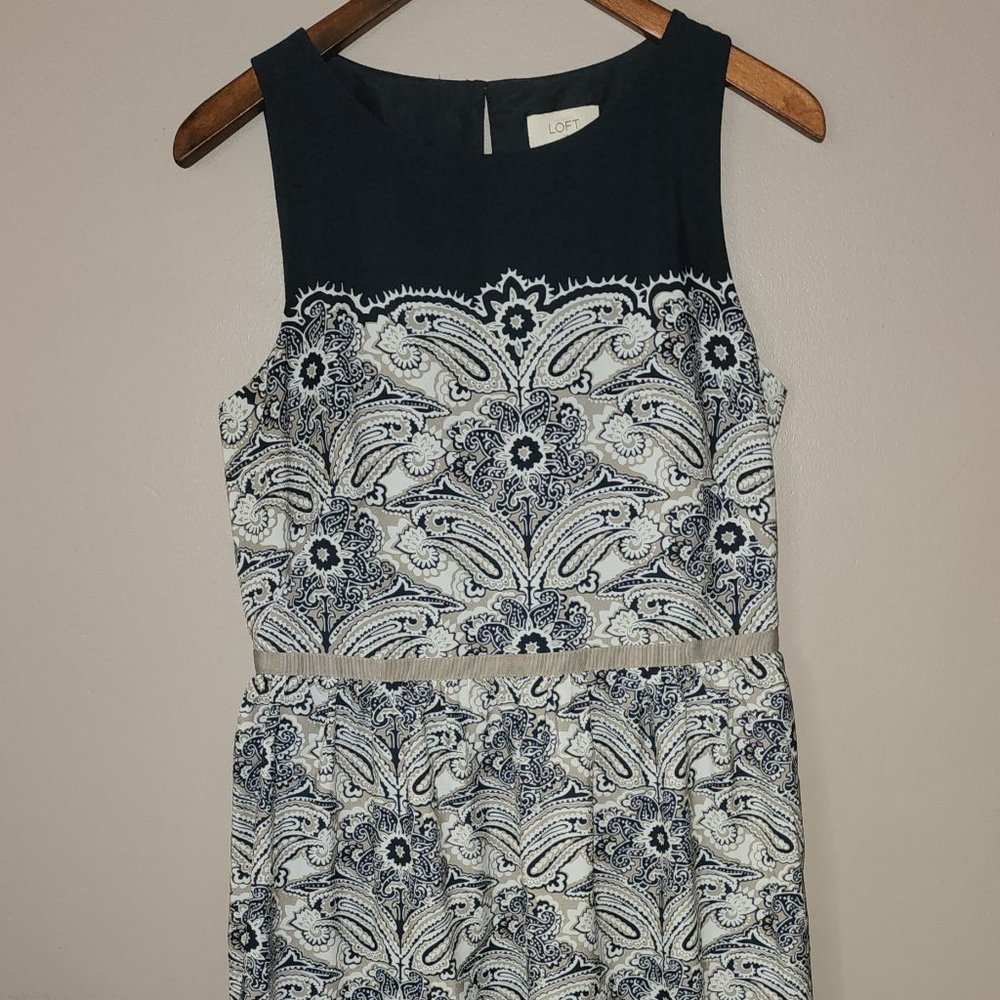 Loft Navy and Tan Day Dress